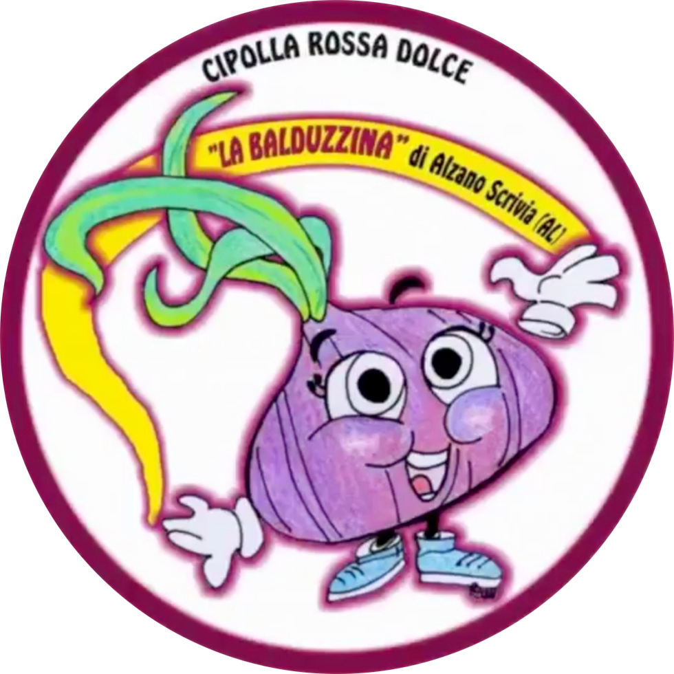 contatti